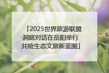 2025世界旅游联盟·洞庭对话在岳阳举行 共绘生态文旅新蓝图