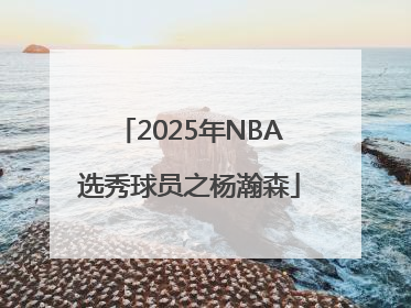 2025年NBA选秀球员之杨瀚森