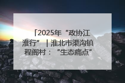 2025年“政协江淮行”｜淮北市渠沟镇程阁村：“生态痛点”变“生态景观”