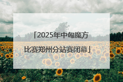 2025年中匈魔方比赛郑州分站赛闭幕