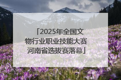 2025年全国文物行业职业技能大赛河南省选拔赛落幕
