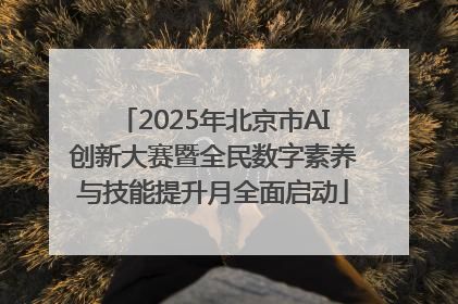 2025年北京市AI创新大赛暨全民数字素养与技能提升月全面启动