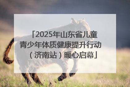 2025年山东省儿童青少年体质健康提升行动（济南站）暖心启幕