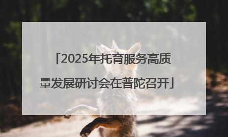 2025年托育服务高质量发展研讨会在普陀召开