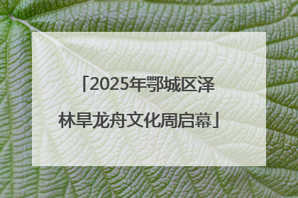 2025年鄂城区泽林旱龙舟文化周启幕