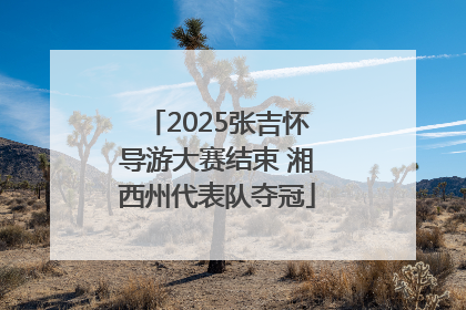 2025张吉怀导游大赛结束 湘西州代表队夺冠