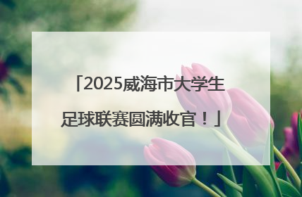 2025威海市大学生足球联赛圆满收官！