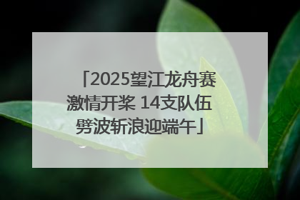 2025望江龙舟赛激情开桨 14支队伍劈波斩浪迎端午