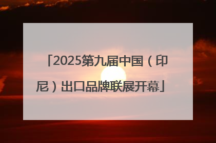 2025第九届中国（印尼）出口品牌联展开幕