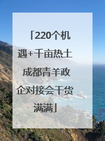 220个机遇+千亩热土 成都青羊政企对接会干货满满