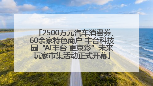 2500万元汽车消费券、60余家特色商户 丰台科技园“AI丰台 更京彩”未来玩家市集活动正式开幕