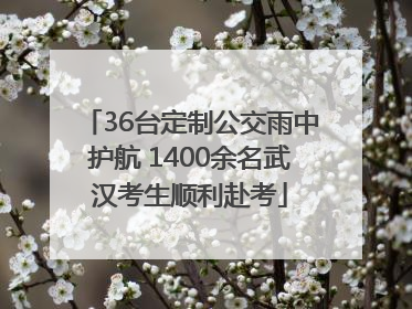 36台定制公交雨中护航 1400余名武汉考生顺利赴考