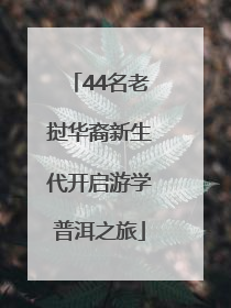 44名老挝华裔新生代开启游学普洱之旅