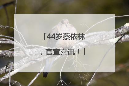 44岁蔡依林，官宣喜讯！