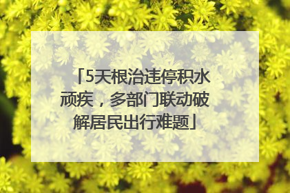 5天根治违停积水顽疾，多部门联动破解居民出行难题