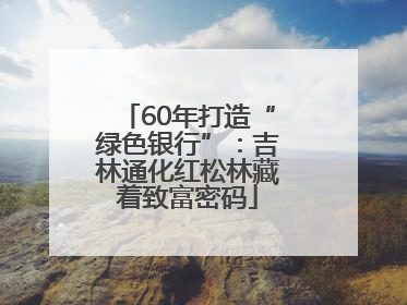60年打造“绿色银行”：吉林通化红松林藏着致富密码