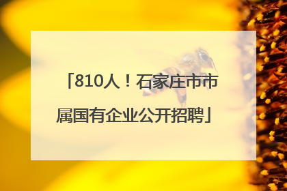 810人！石家庄市市属国有企业公开招聘