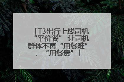 T3出行上线司机“平价餐” 让司机群体不再“用餐难”、“用餐贵”