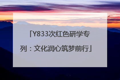 Y833次红色研学专列：文化润心筑梦前行
